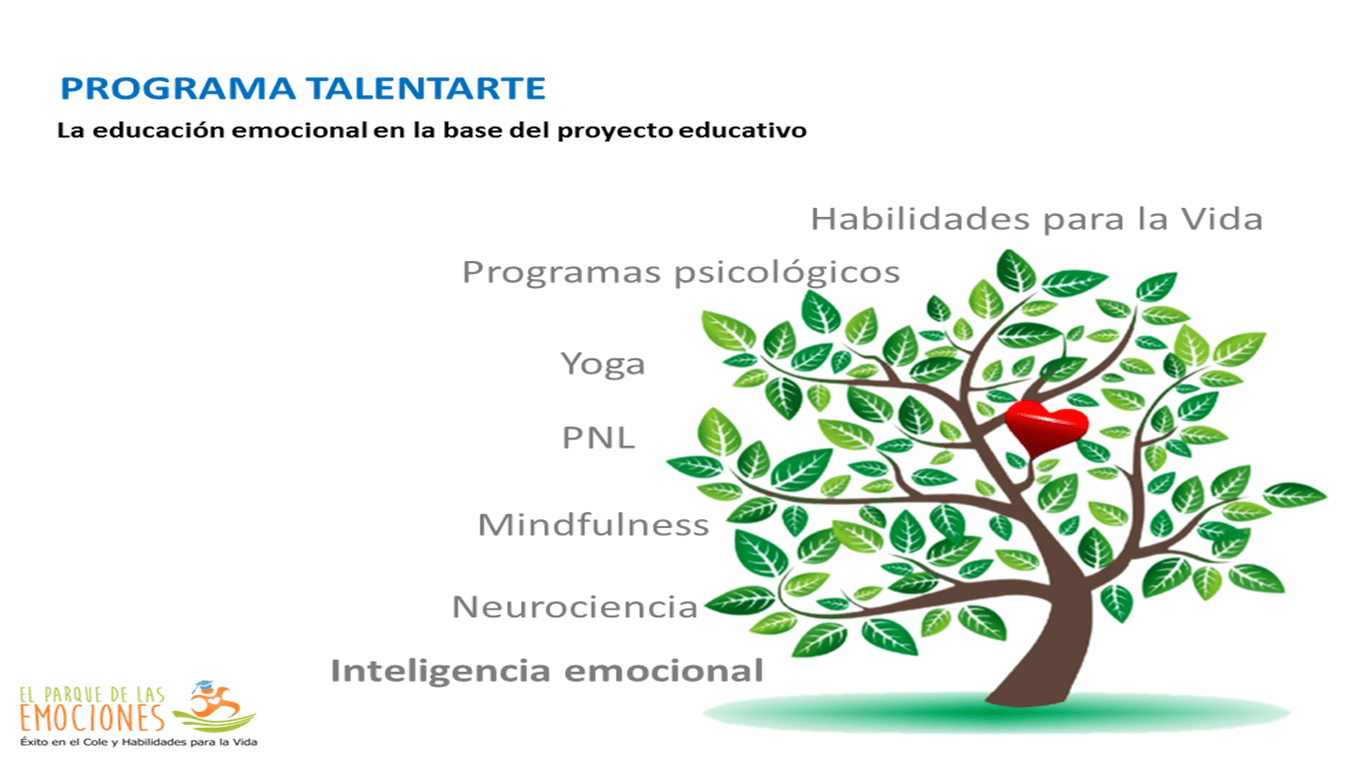 Programa talentarte disciplinas Metodología del programa talentarte