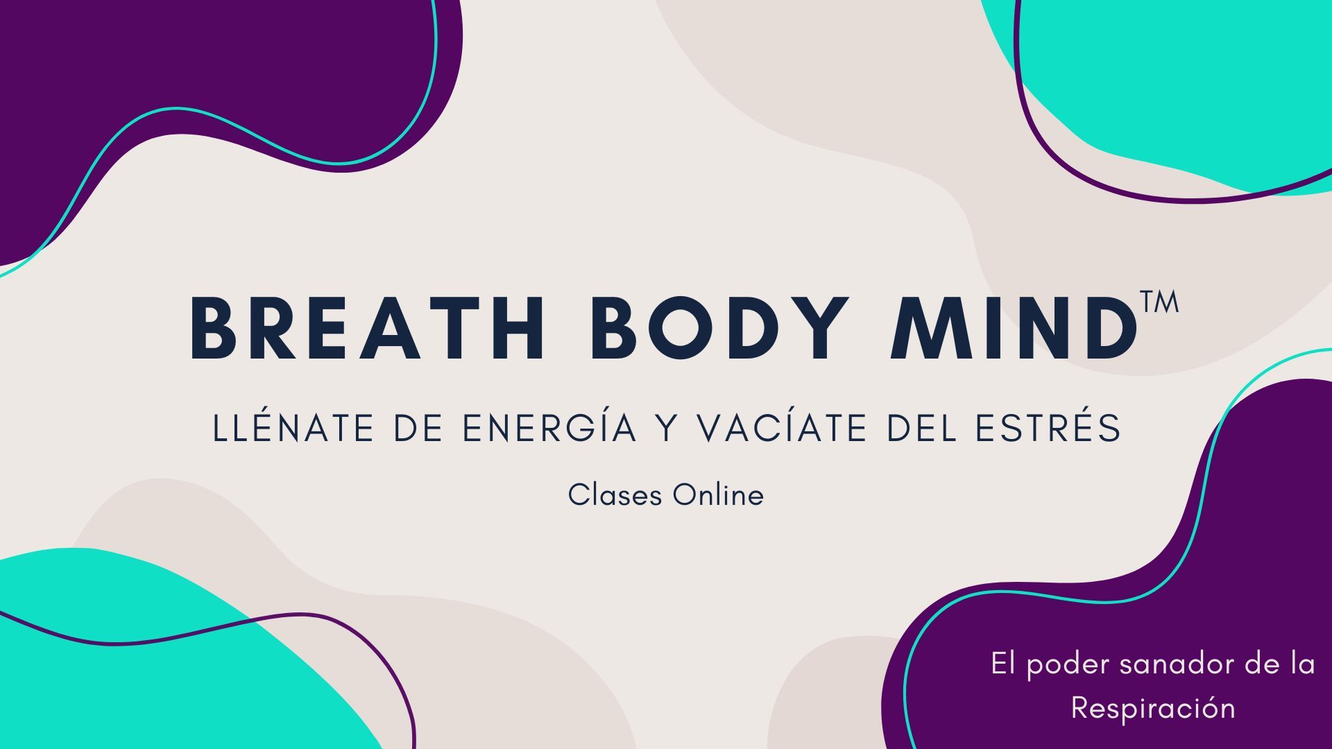Curso Online Educación Emocional Aplicada